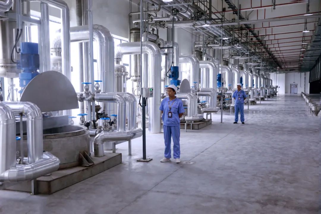 市政府副市长郑向东莅临聚慧餐调梅香园生产基地调研指导工作