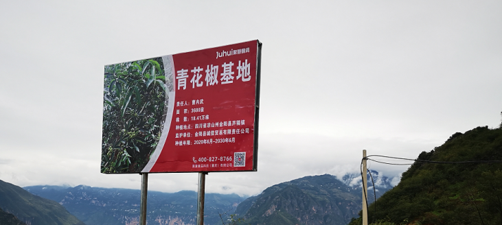 黑科技频出，聚慧餐调凭什么成为网红餐饮背后的调味人？